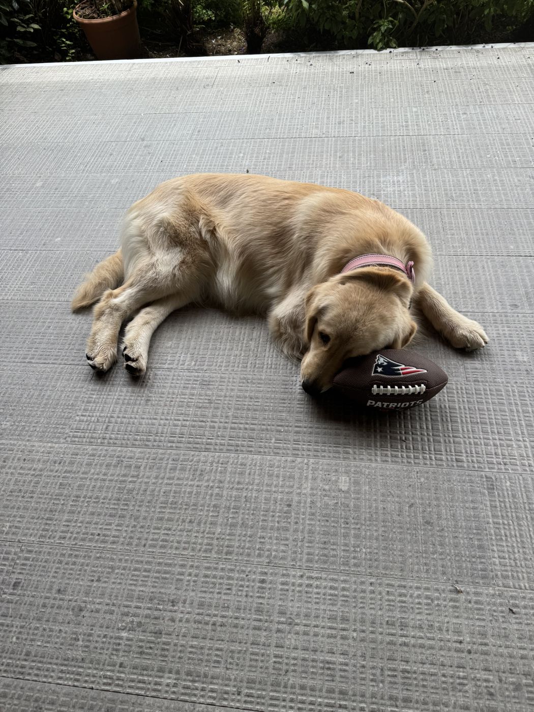 Atenas lying on the floor with a football
