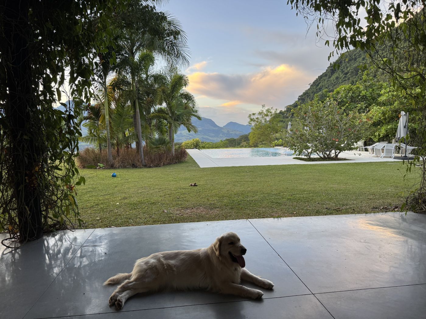 Atenas lying by the pool at sunset